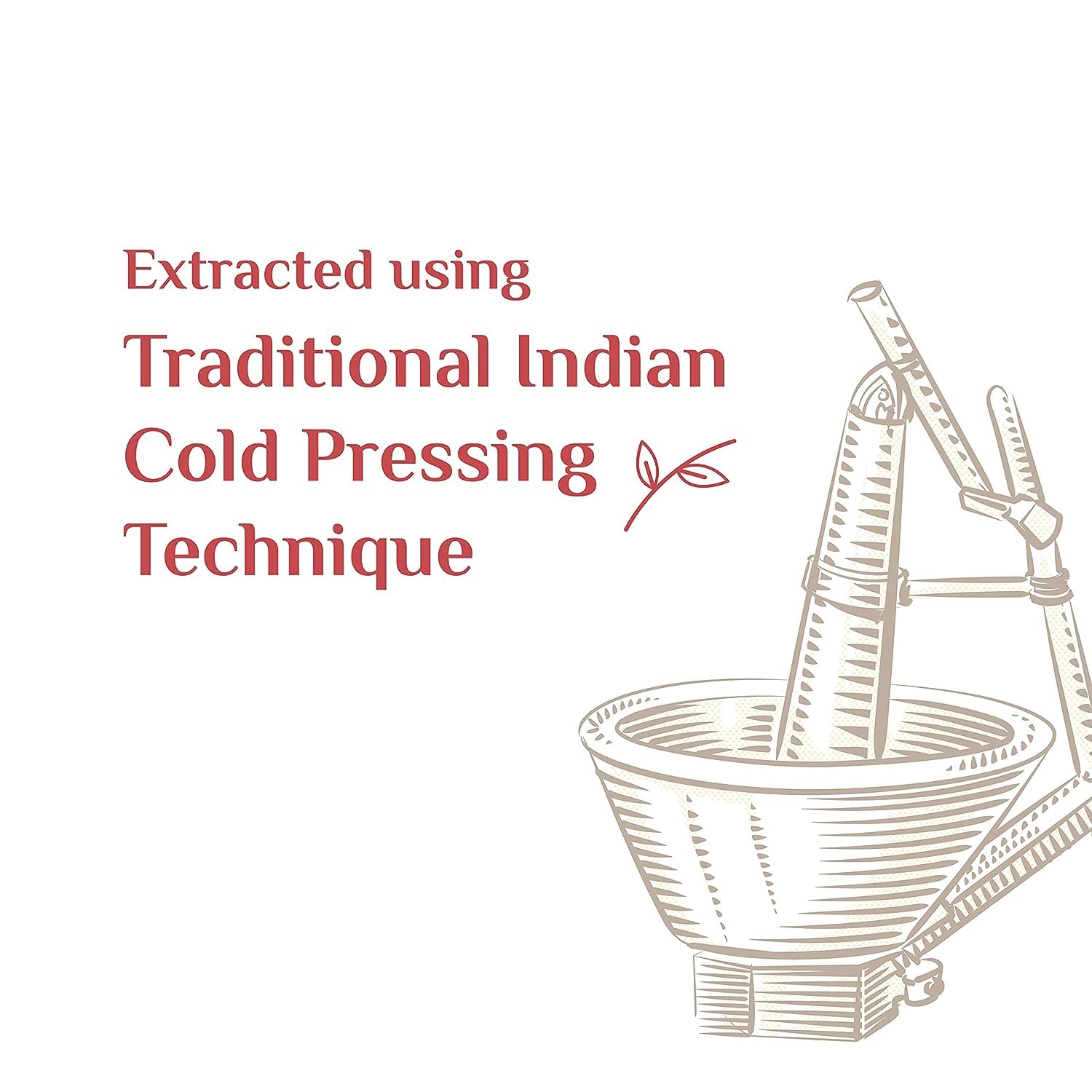 Gulab Cold Pressed Groundnut Oil - 5 Litre | Peanut Oil | Sing Tel | Kolhu/Kachhi Ghani/Chekku/Wood Pressed | Natural Cooking Oil | Chemical Free - View 6